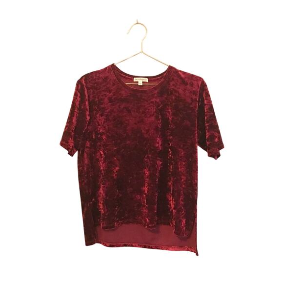Love on a Hanger Crushed Velvet Top - Size Small - Picture 1 of 7